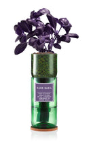 Load image into Gallery viewer, Dark Basil (Purple)