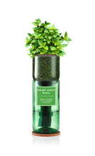 Load image into Gallery viewer, Dwarf Basil (Greek)
