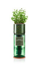 Load image into Gallery viewer, Sweet Marjoram