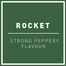 Load image into Gallery viewer, Rocket