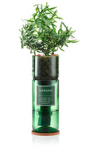 Load image into Gallery viewer, Tarragon